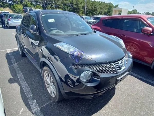 2013 Nissan Juke