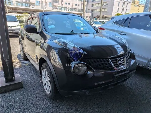 2011 Nissan Juke