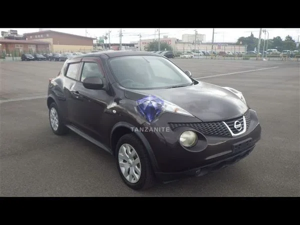 2011 Nissan Juke