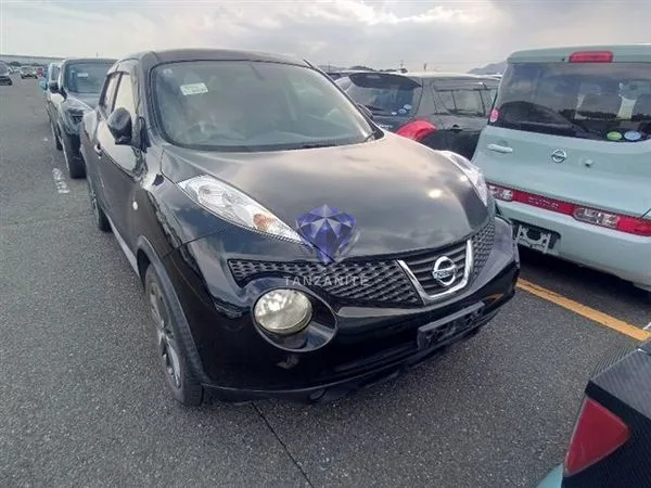 2013 Nissan Juke