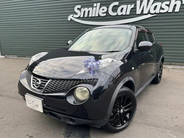 2011 Nissan Juke