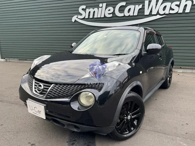 2011 Nissan Juke