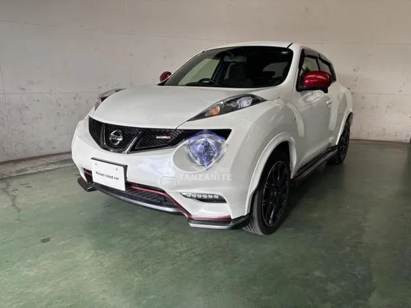 2013 Nissan Juke