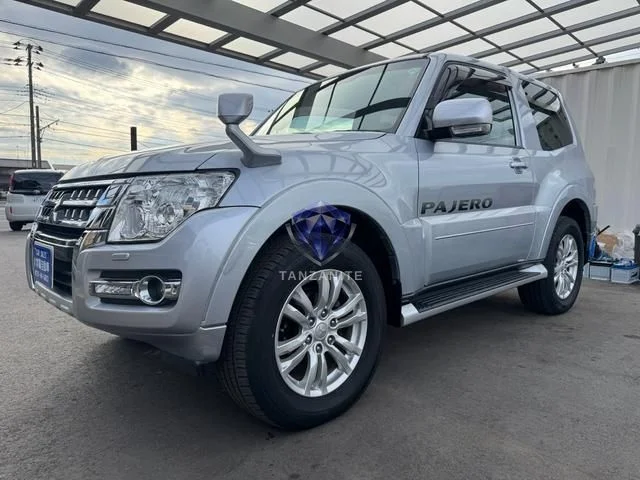 2017 Mitsubishi Pajero