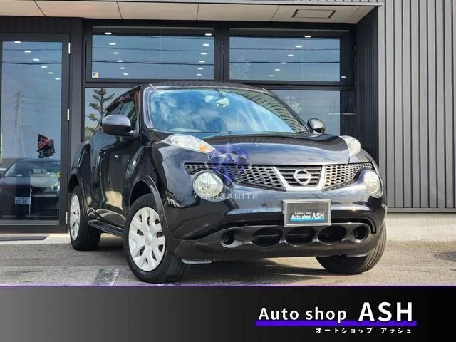 2010 Nissan Juke