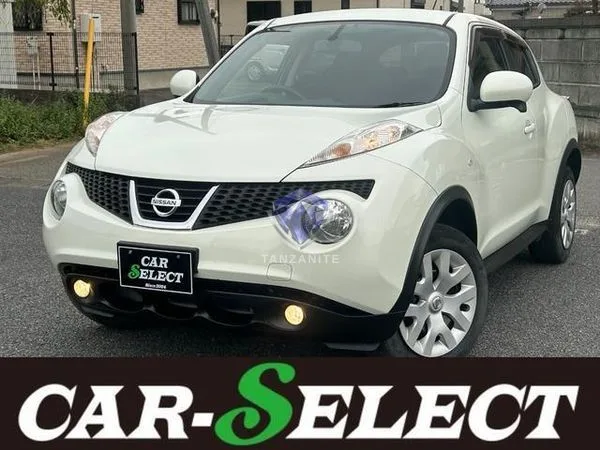 2011 Nissan Juke