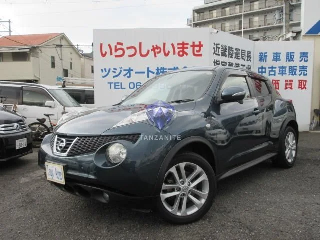 2011 Nissan Juke