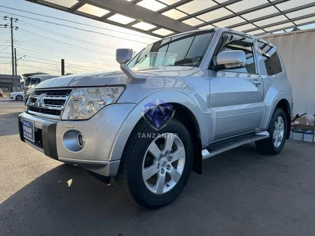 2010 Mitsubishi Pajero