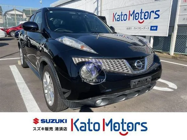 2013 Nissan Juke