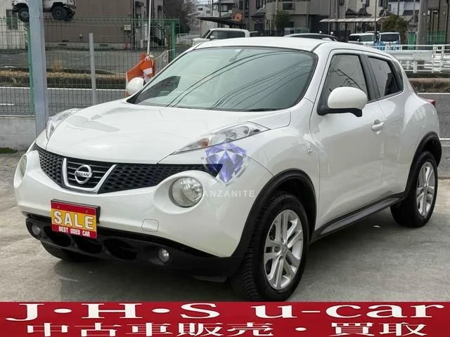 2013 Nissan Juke