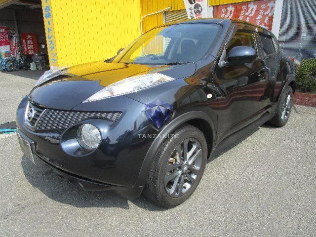 2013 Nissan Juke