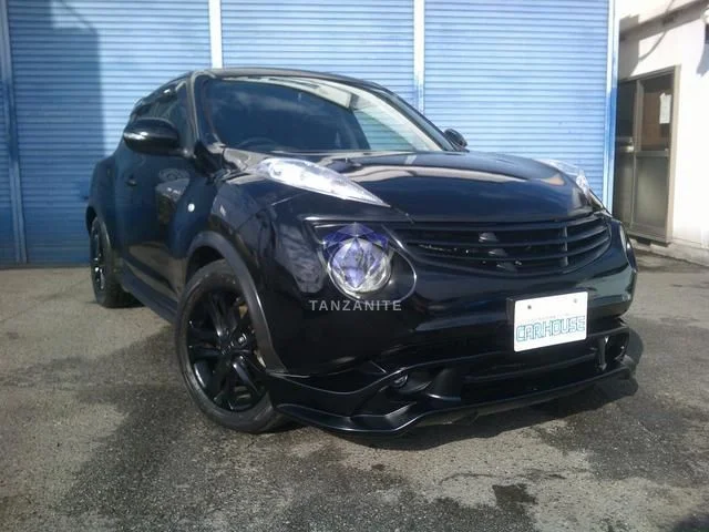 2012 Nissan Juke