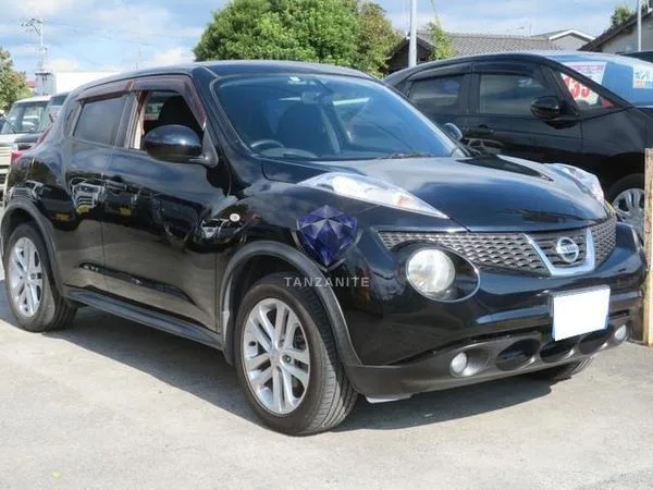 2010 Nissan Juke