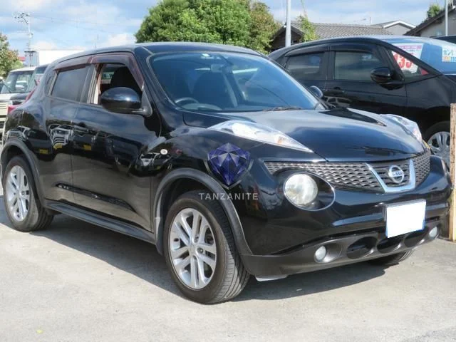 2010 Nissan Juke