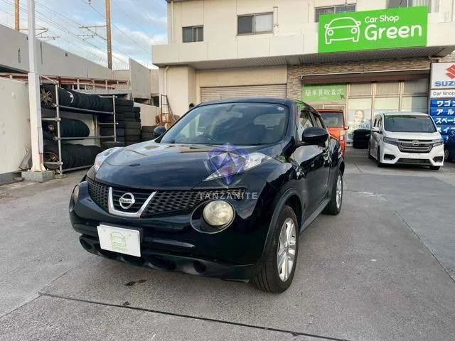 2010 Nissan Juke
